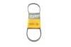 Ремінь поліклиновий continental 3PK817ELAST