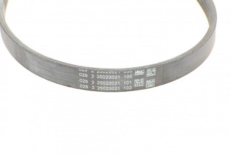 Привідний ремінь генератора continental 4PK906ELAST