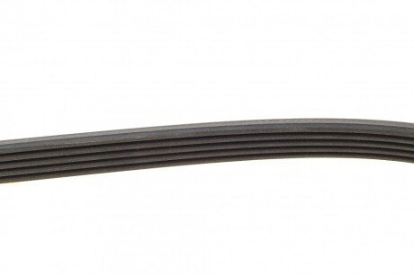 Ремінь поліклиновий continental 5PK1260