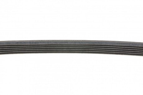 Ремінь поліклиновий continental 6PK1019ELAST