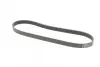 Ремінь поліклиновий continental 6 PK 1019 ELAST