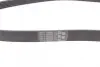 Ремінь поліклиновий continental 6PK1240ELAST