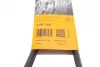 Ремінь поліклиновий continental 6PK1360