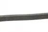 Ремінь поліклиновий continental 6PK1448