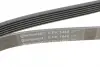 Ремінь поліклиновий continental 6PK1448