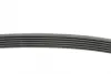 Ремінь поліклиновий Continental 6PK1502EXTRA (фото 2)