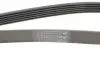Ремінь поліклиновий Continental 6PK1502EXTRA (фото 3)