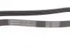 Ремінь поліклиновий continental 6PK1605