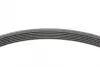 Ремінь поліклиновий continental 6PK1822EXTRA