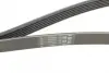 Ремінь поліклиновий continental 6PK1822EXTRA