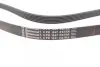 Ремінь поліклиновий continental 6PK1847EXTRA