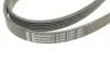 Ремінь поліклиновий continental 6PK2397