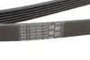 Ремінь поліклиновий continental 6PK2575