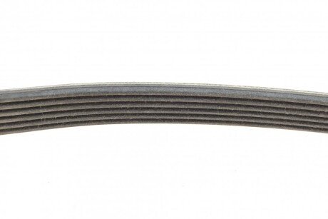 Ремінь поліклиновий continental 6PK802EXTRA