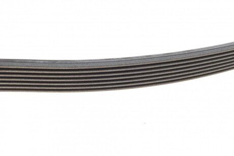 Приводной ремень генератора continental 7PK1770