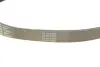 Ремінь поліклиновий continental 8PK1310EXTRA