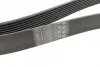 Ремінь поліклиновий continental 8PK1786
