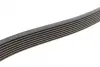 Ремінь поліклиновий continental 8PK1786