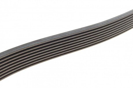 Ремінь поліклиновий continental 8PK1786