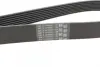 Ремінь поліклиновий continental 8PK2092