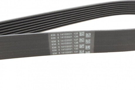 Привідний ремінь генератора continental 8PK2092