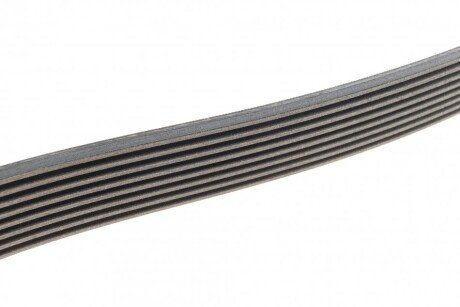 Привідний ремінь генератора continental 8PK2092