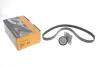 Роликовий модуль натягувача ременя (ролик, ремінь) continental 6PK1130K3