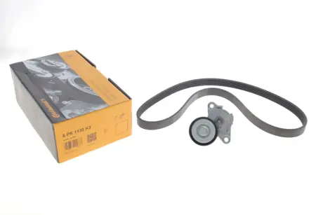Роликовий модуль натягувача ременя (ролик, ремінь) continental 6PK1130K3