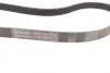 Ручейковый ремень continental 6PK1244