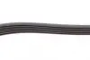 Ручейковый ремень continental 6PK1244