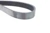 Ручейковый ремень continental 7 PK 1516