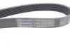 Ручейковый ремень continental 7 PK 1516