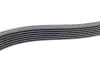 Ручейковый ремень continental 7 PK 1516