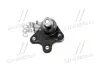 Нижняя шаровая опора CTR CB0552L