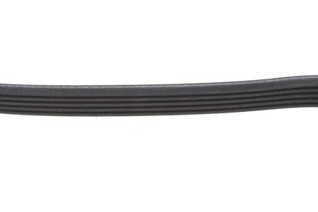 Привідний ремінь генератора dayco 5PK1175