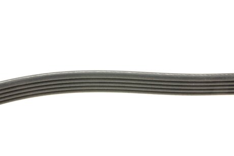 Ремінь поліклиновий dayco 5PK1280