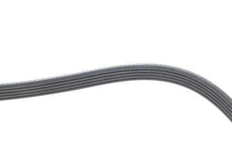 Привідний ремінь генератора dayco 5PK1790