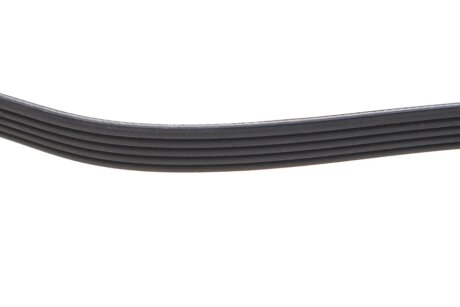 Приводной ремень генератора dayco 5PK941