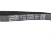 Привідний ремінь генератора dayco 5PK941