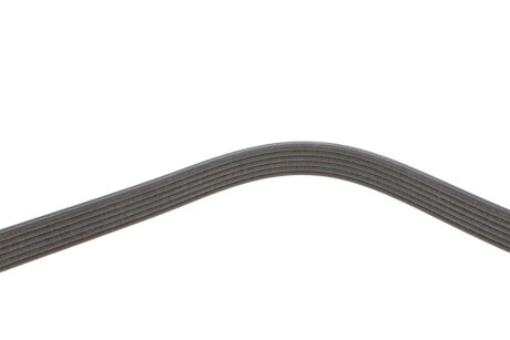 Привідний ремінь генератора dayco 6DPK1188