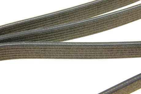 Доріжковий пас dayco 6DPK2217