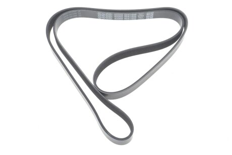 Привідний ремінь генератора dayco 6PK1606 на Рено Сценик 1