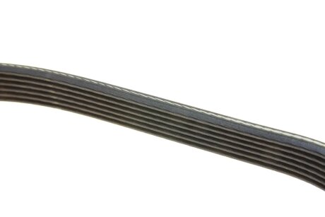 Ремінь поліклиновий dayco 6PK986