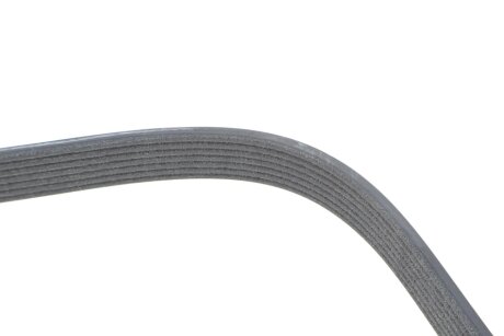 Ремінь поліклиновий dayco 7PK1165S