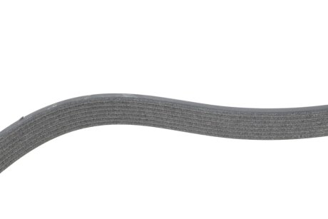 Доріжковий пас dayco 7PK1667S