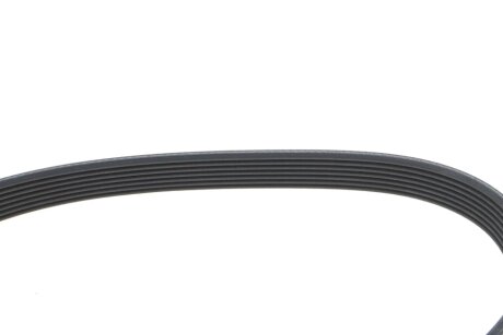 Ремінь поліклиновий dayco 7PK2365