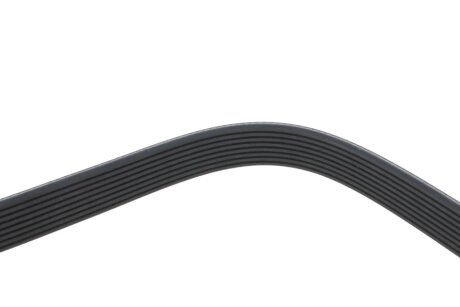 Привідний ремінь генератора dayco 8PK1956