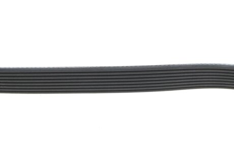 Доріжковий пас dayco 8PK848