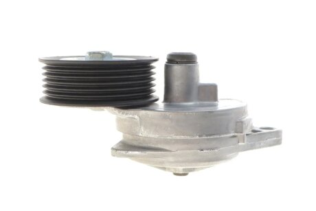 Натяжник ременя генератора dayco APV2313