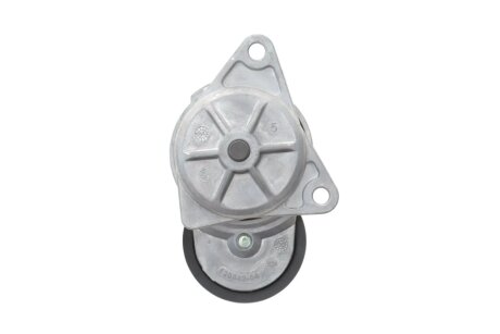 Натяжник ременя генератора dayco APV2313